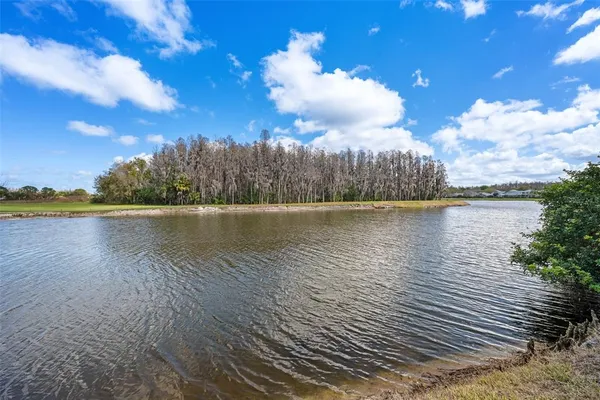 $2,695,000 | 18713 Pepper Pike, Lutz, FL 33558