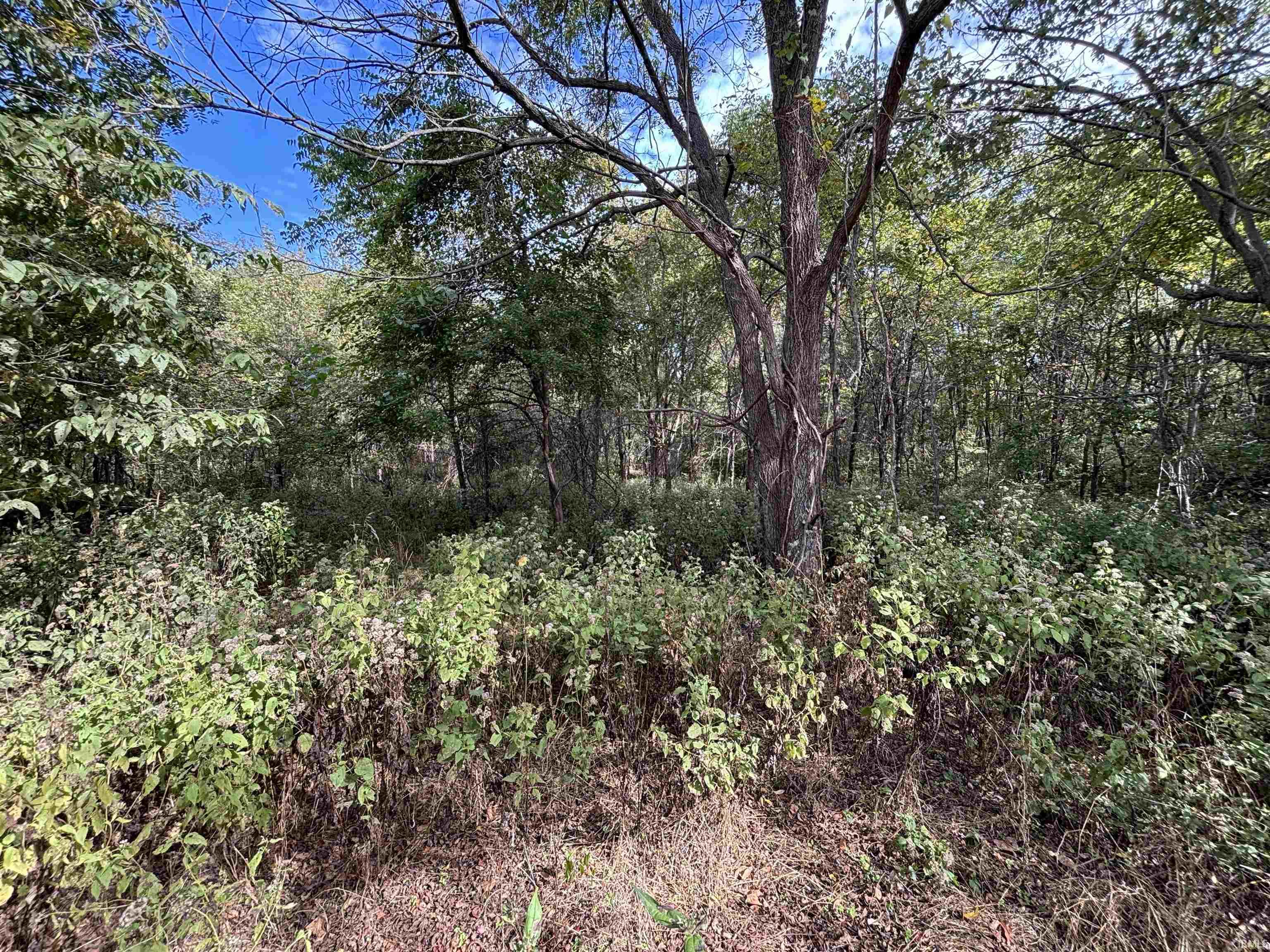 0 East 200th Sullivan, IN 47882 - Photo 11 of 32