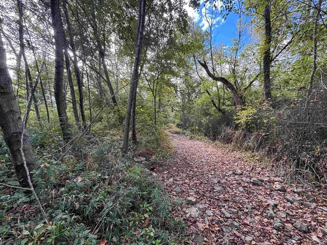 $650,000 | 0 East 200th, Sullivan, IN 47882