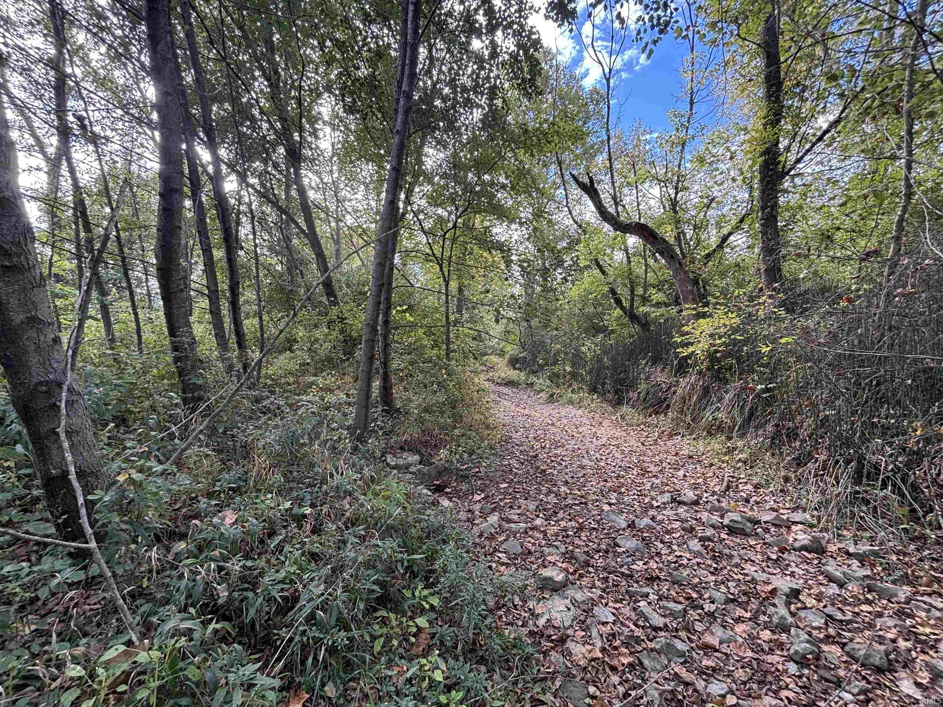 0 East 200th Sullivan, IN 47882 - Photo 4 of 32