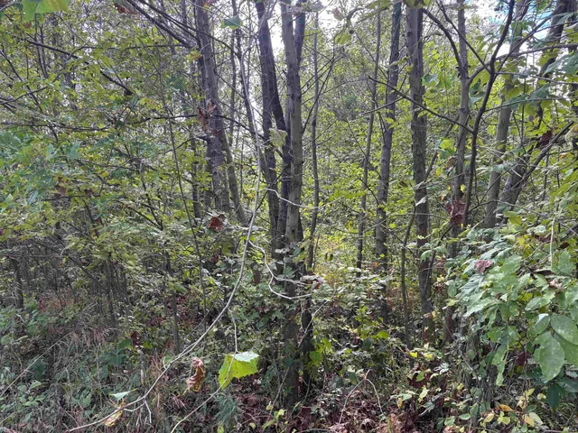 $650,000 | 0 East 200th, Sullivan, IN 47882