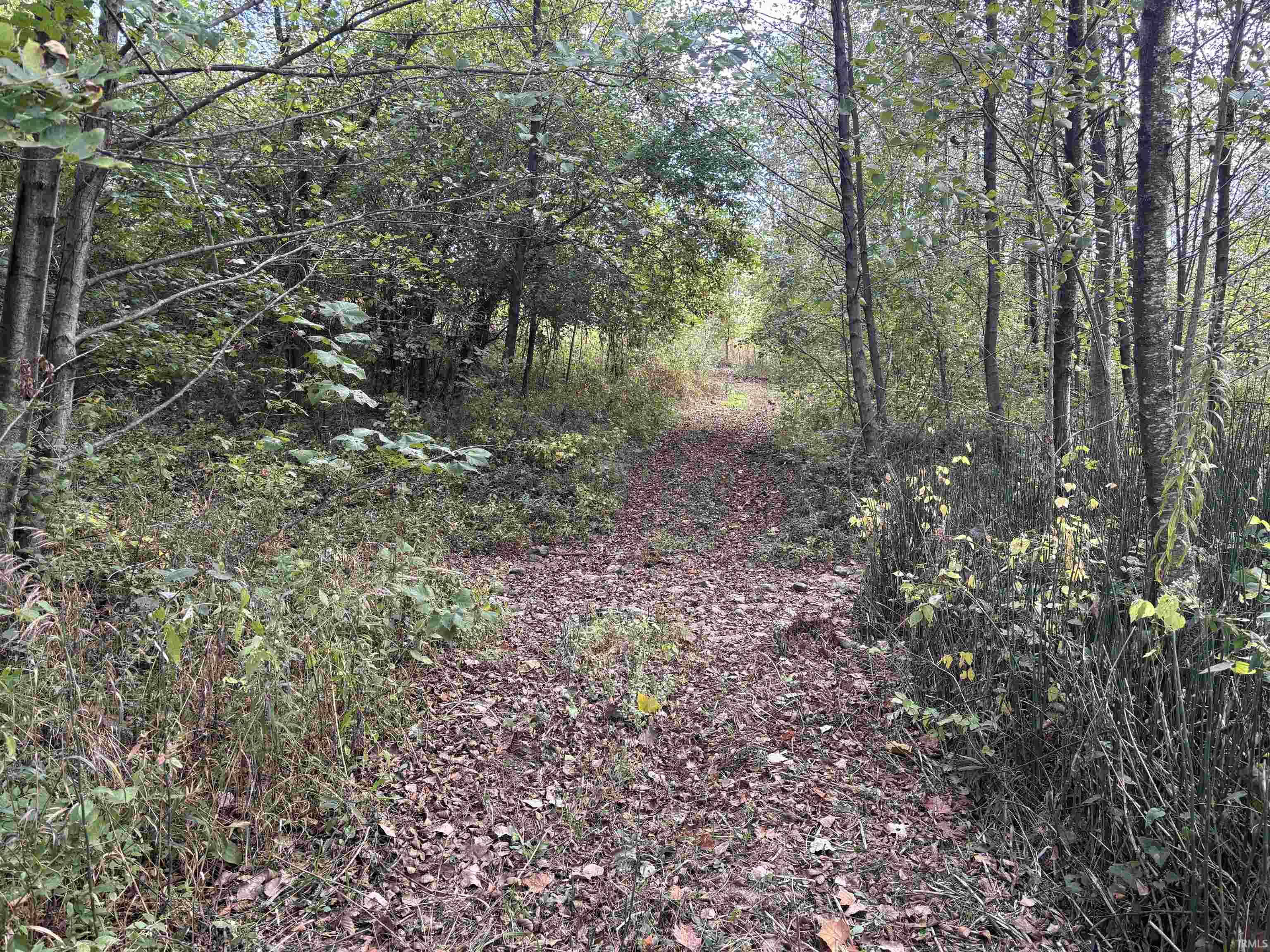 0 East 200th Sullivan, IN 47882 - Photo 9 of 32