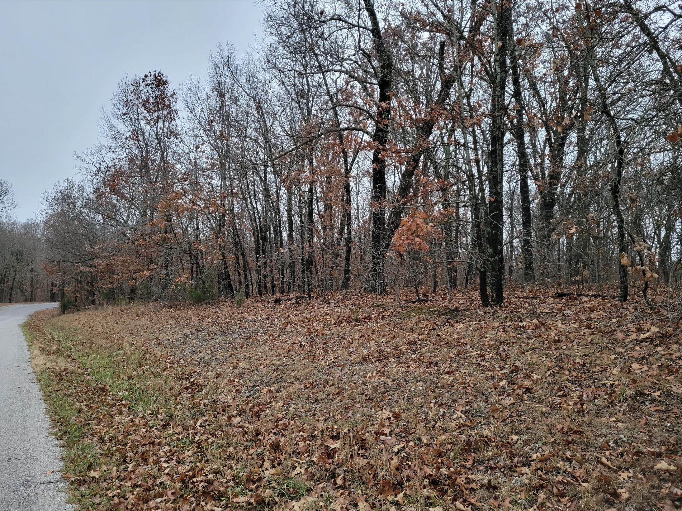 0 Timber Ridge Drive Seneca, MO 64865 - Photo 1 of 1 Screen Shot 2022-12-09 at 11.42.52 AM
