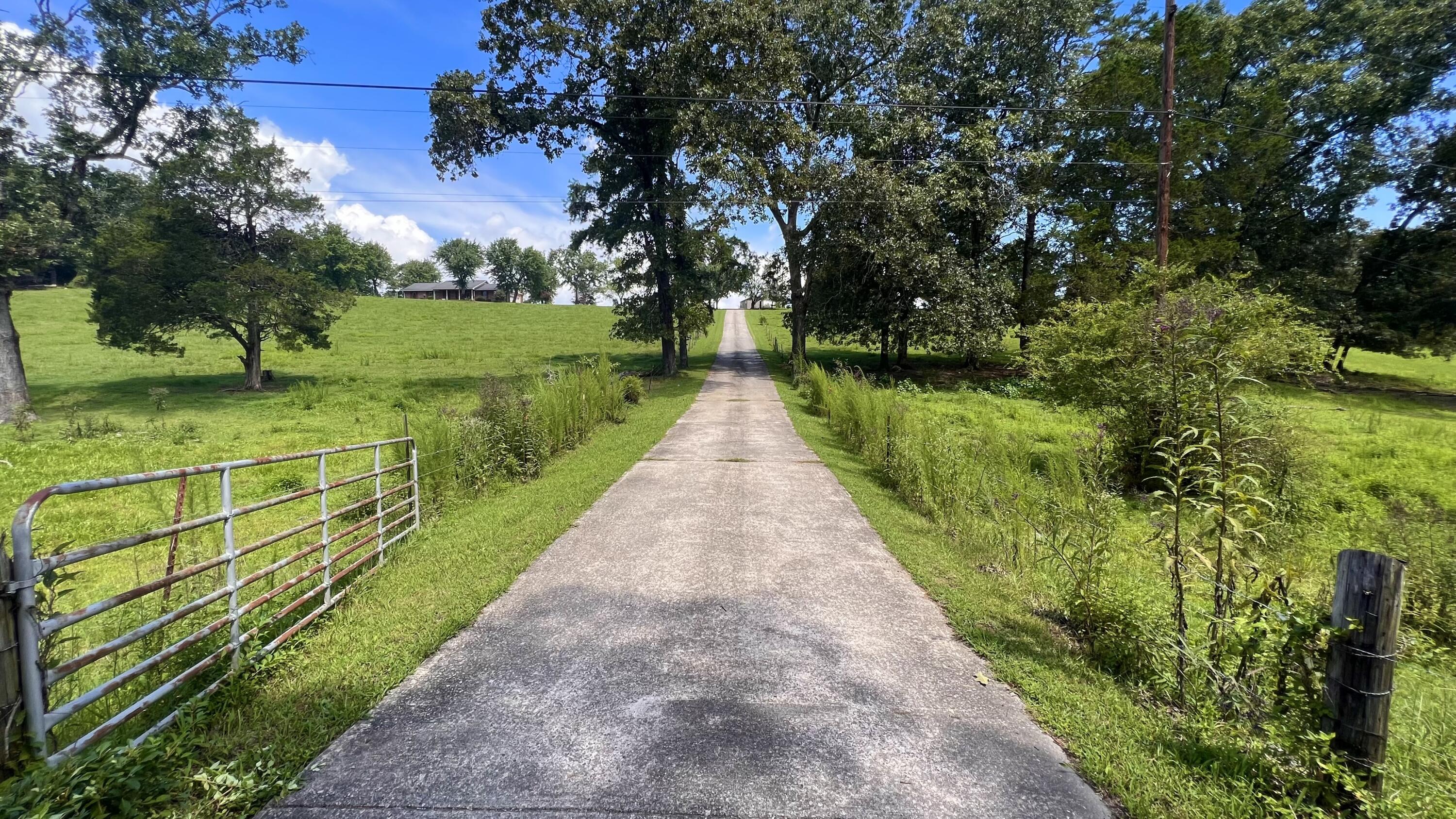 1584 Fraley Road Dayton, TN 37321 - Photo 3 of 34 1.2-Driveway