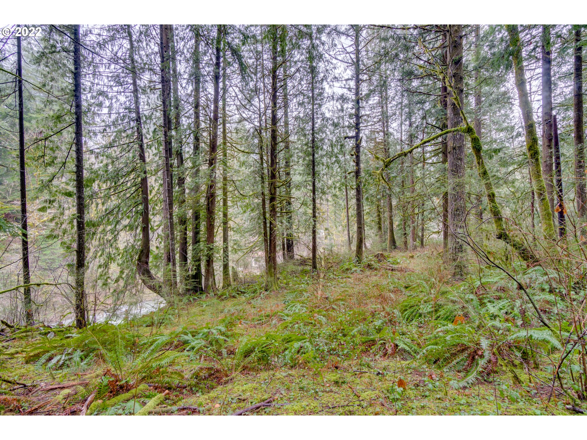 131 Daniel Road Washougal, WA 98671 - Photo 23 of 31 Gallery Image 23