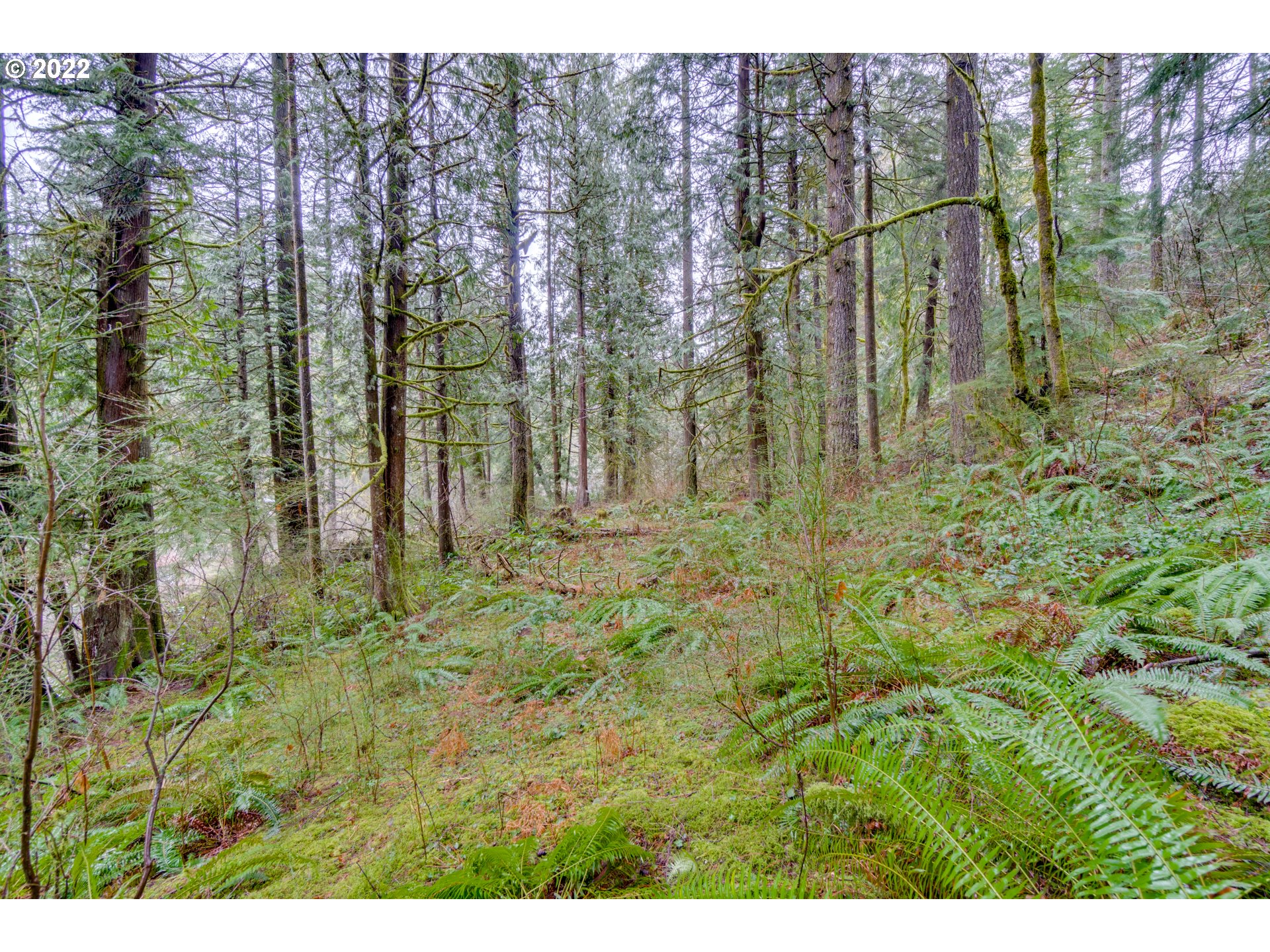 131 Daniel Road Washougal, WA 98671 - Photo 24 of 31 Gallery Image 24