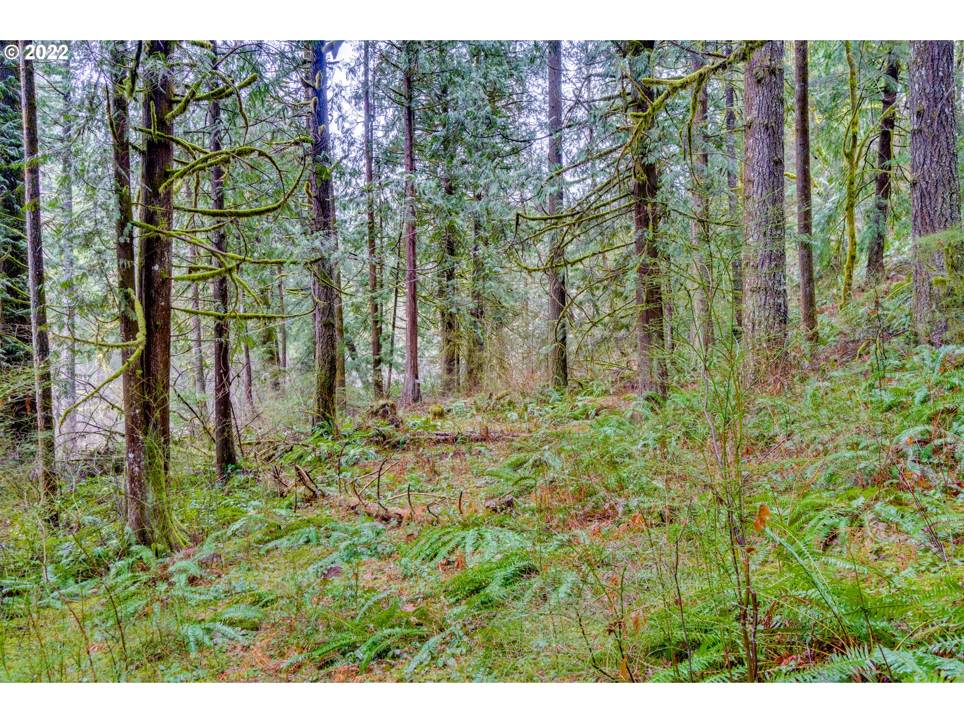 131 Daniel Road Washougal, WA 98671 - Photo 25 of 31 Gallery Image 25