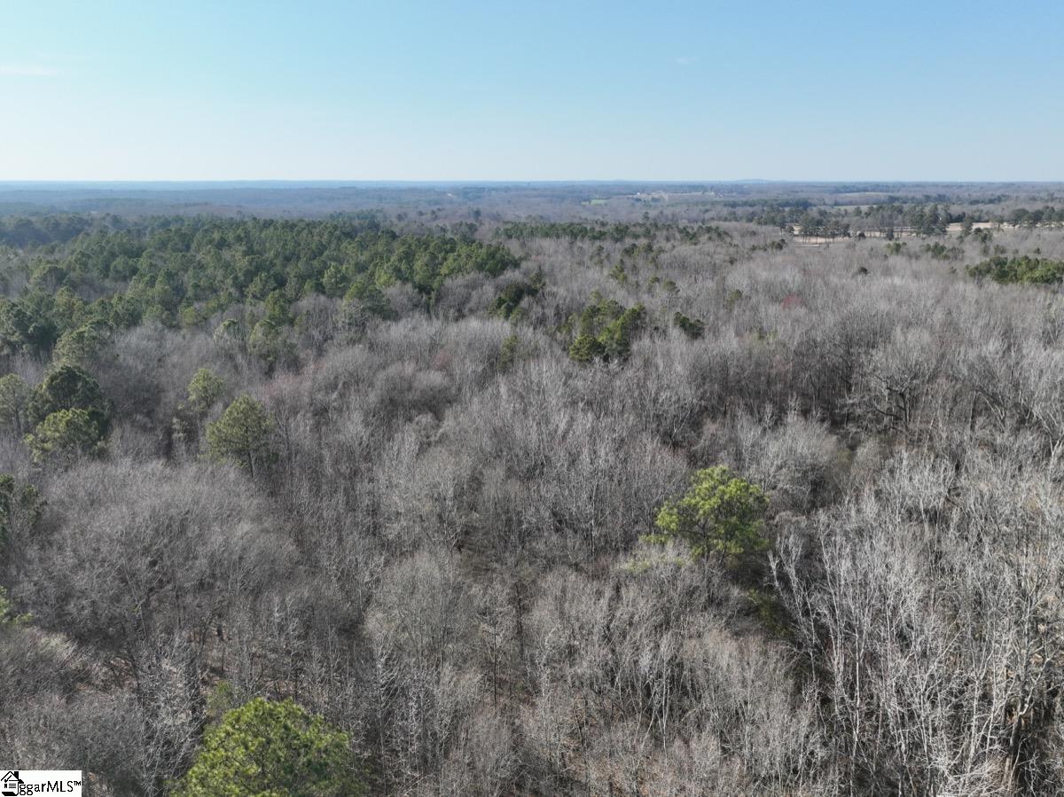 602 Templeton Road Laurens, SC 29360 - Photo 5 of 10