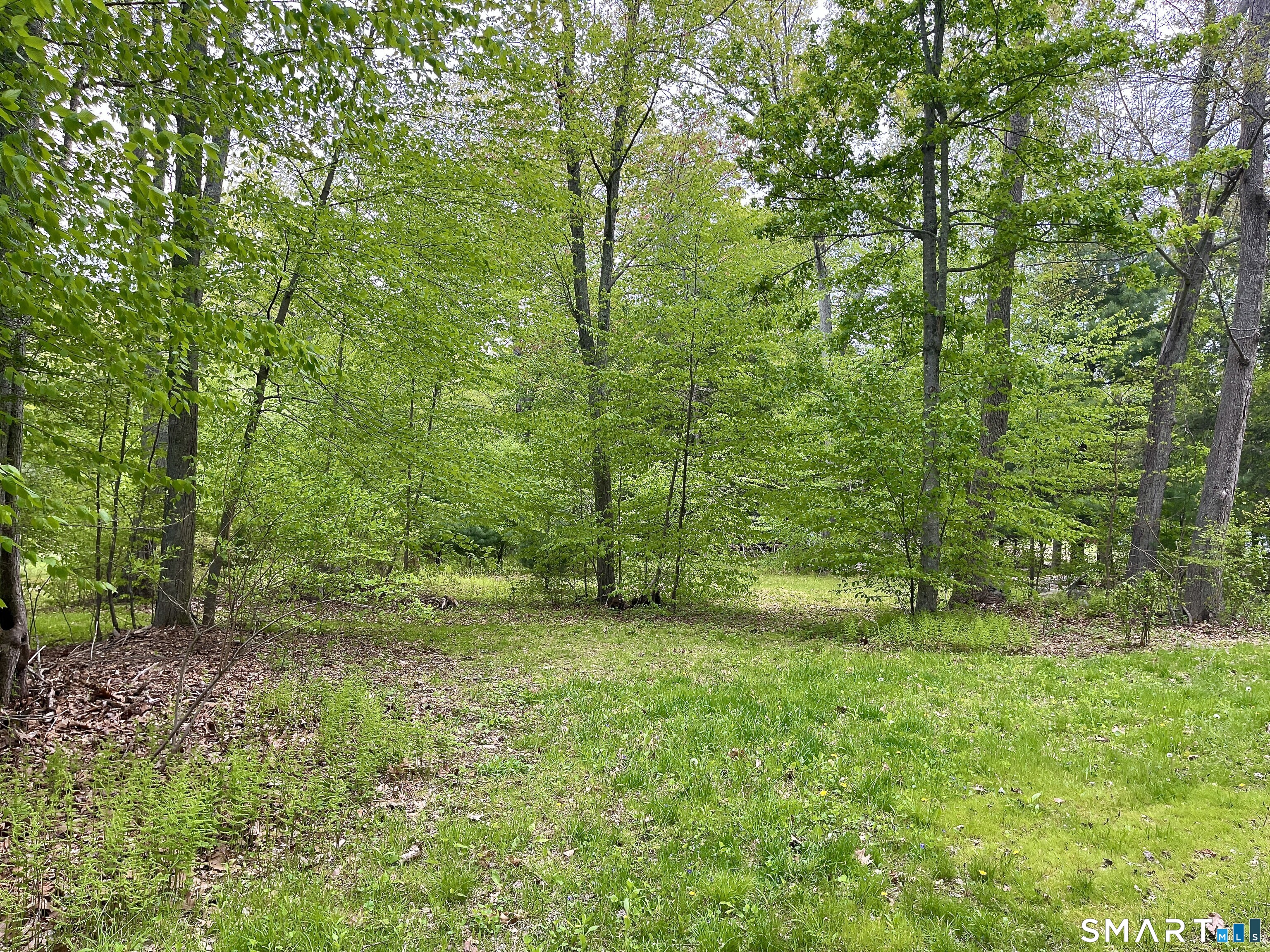 Meadow Brook Road Amston, CT 06231 - Photo 3 of 14 a view of a lush green space