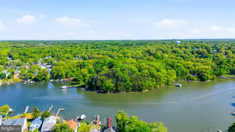 a view of a lake with a flower in a garden
