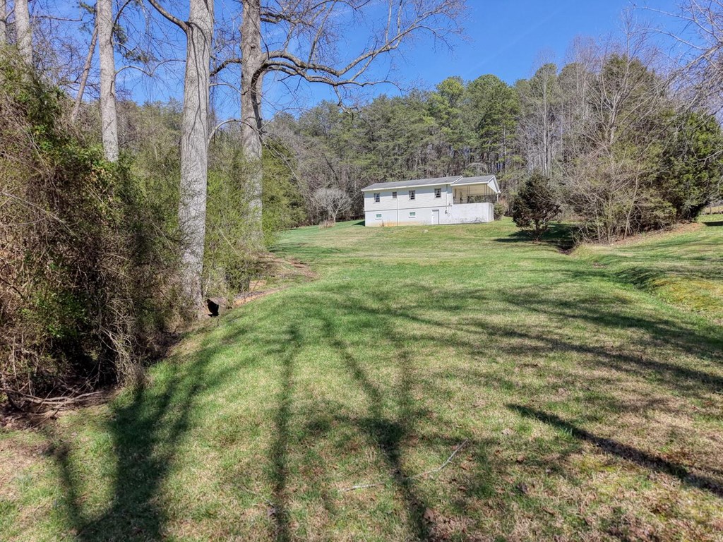 222 Vellenorth Road Blue Ridge, GA 30513 - Photo 18 of 50 Gallery Image 18