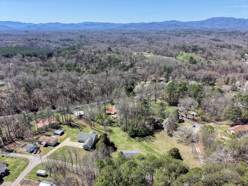 222 Vellenorth Road Blue Ridge, GA 30513 - Photo 46 of 50 Gallery Image 46