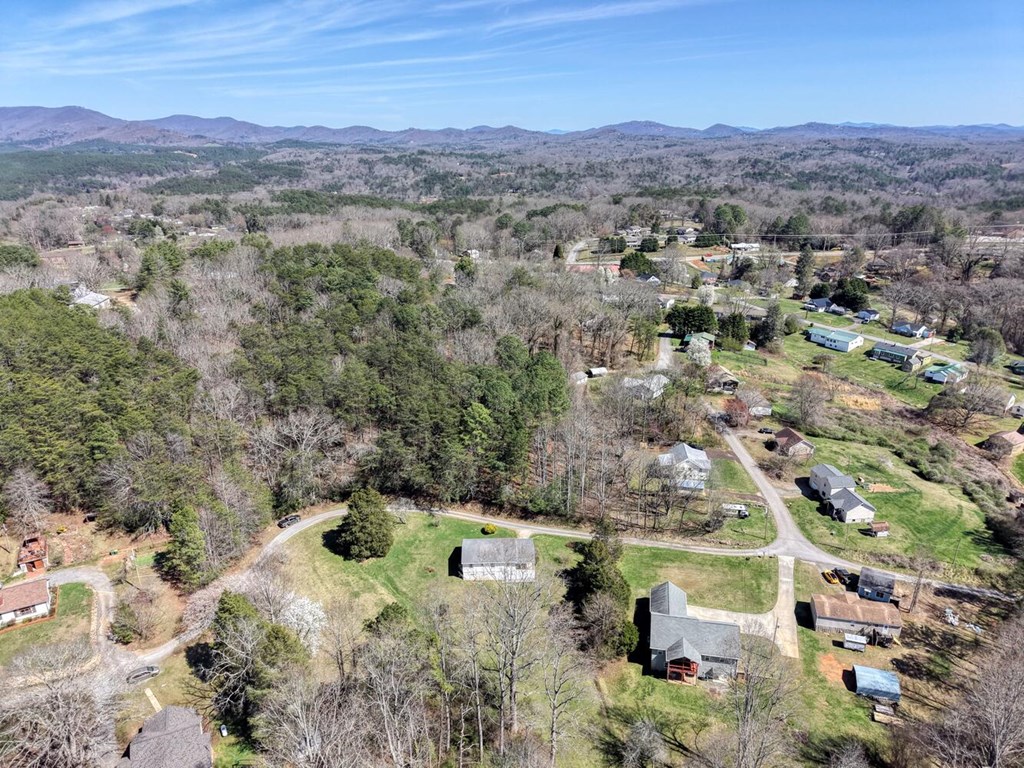 222 Vellenorth Road Blue Ridge, GA 30513 - Photo 48 of 50 Gallery Image 48