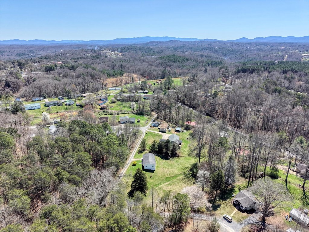 222 Vellenorth Road Blue Ridge, GA 30513 - Photo 49 of 50 Gallery Image 49