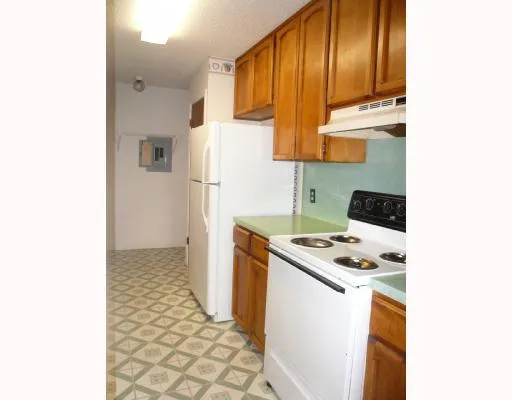 a kitchen with a stove and a refrigerator