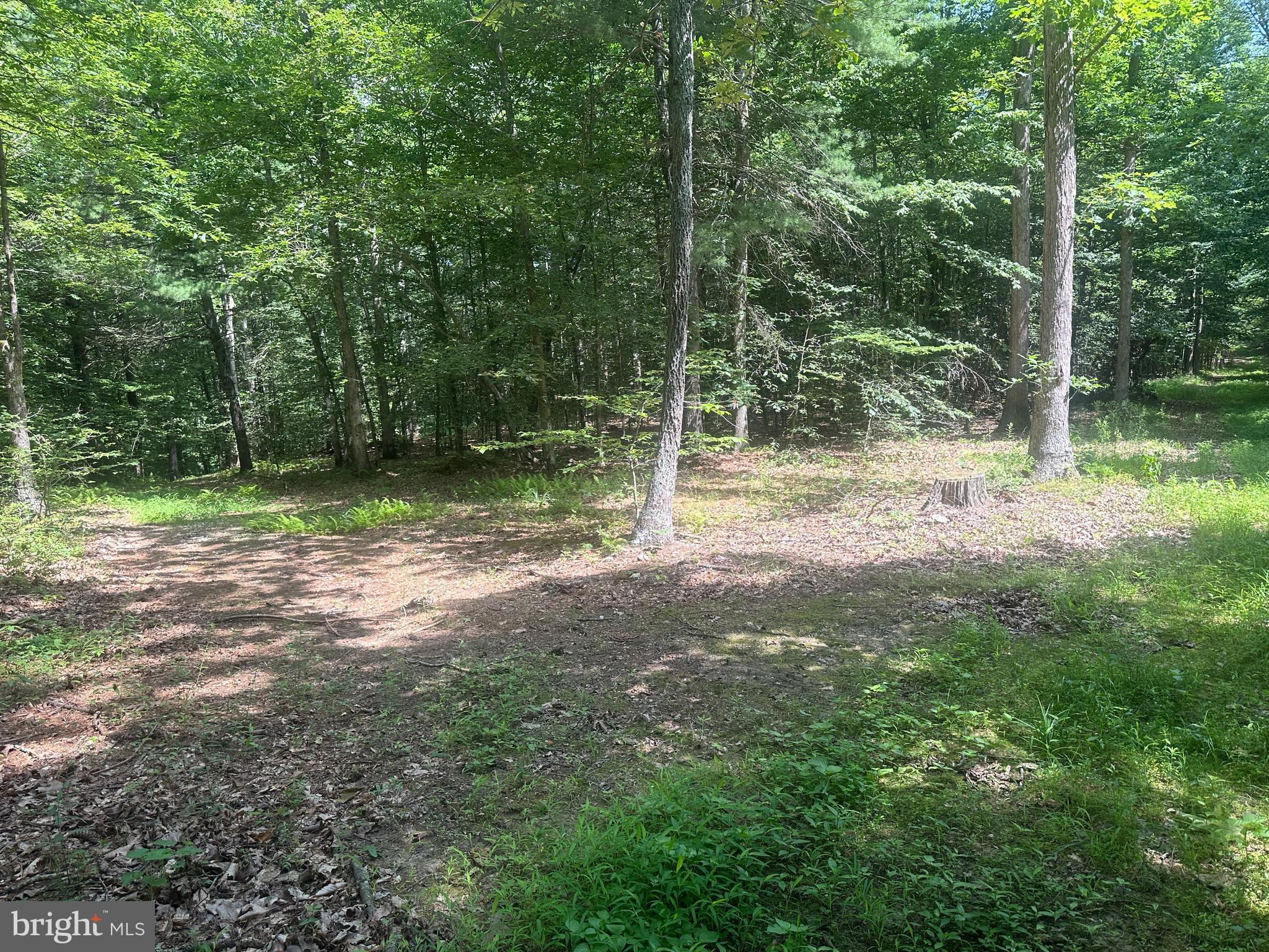 14118 Indian Springs Road Big Pool, MD 21711 - Photo 22 of 30