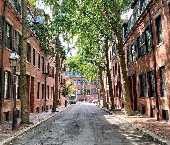 a view of a street with a building and trees