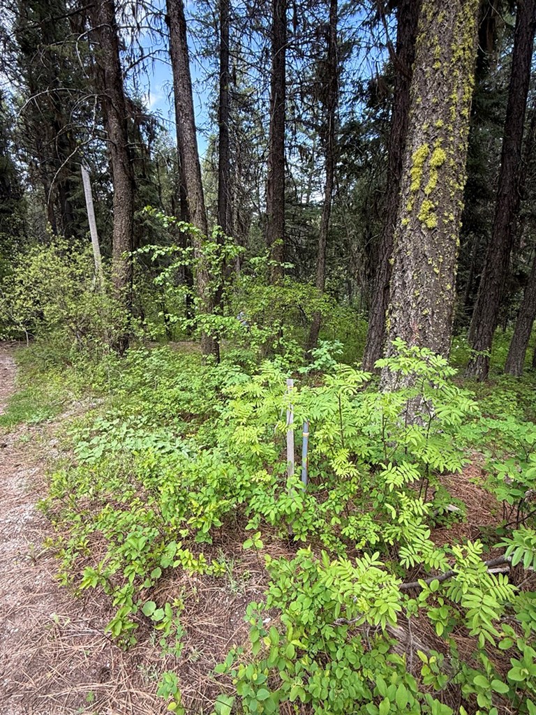 518 Susan Road, Unit 39 Cascade, ID 83611 - Photo 7 of 10 Northwest Property Marked