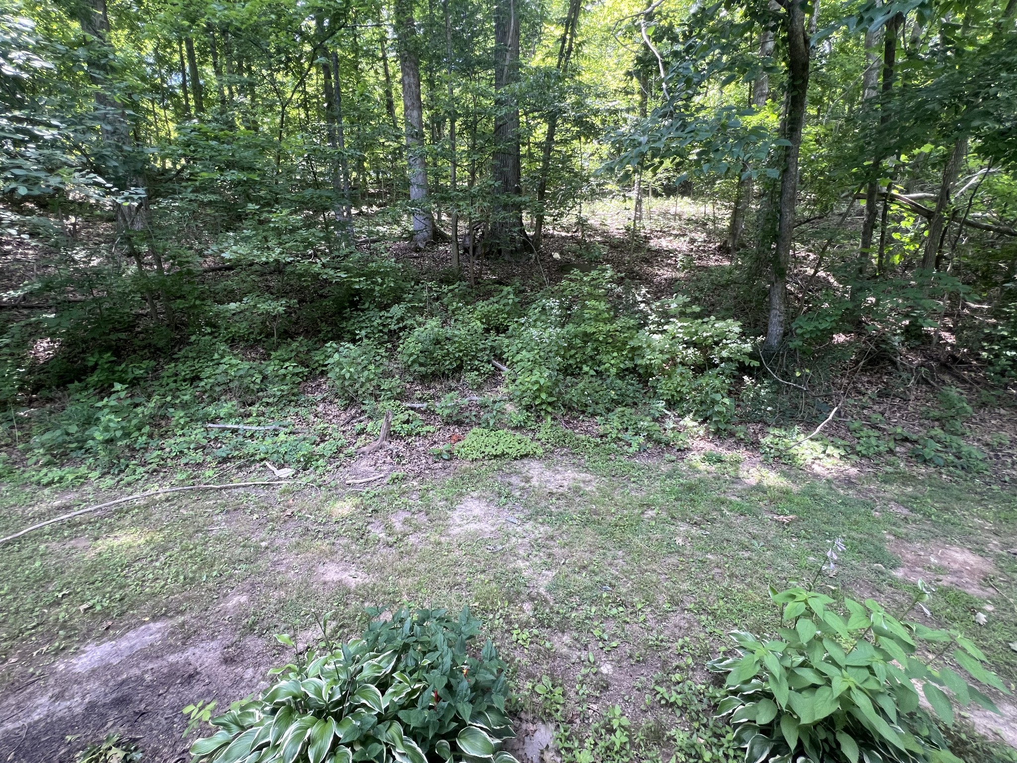 455 Beasley Hollow Road Linden, TN 37096 - Photo 29 of 33