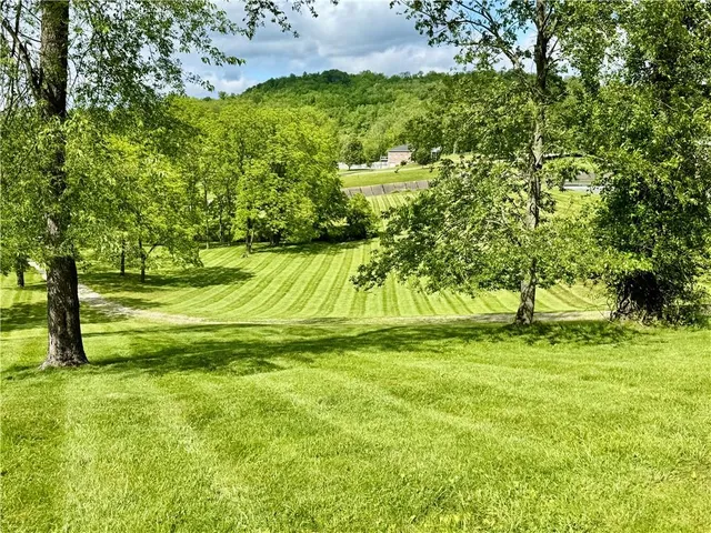 a view of yard with trees