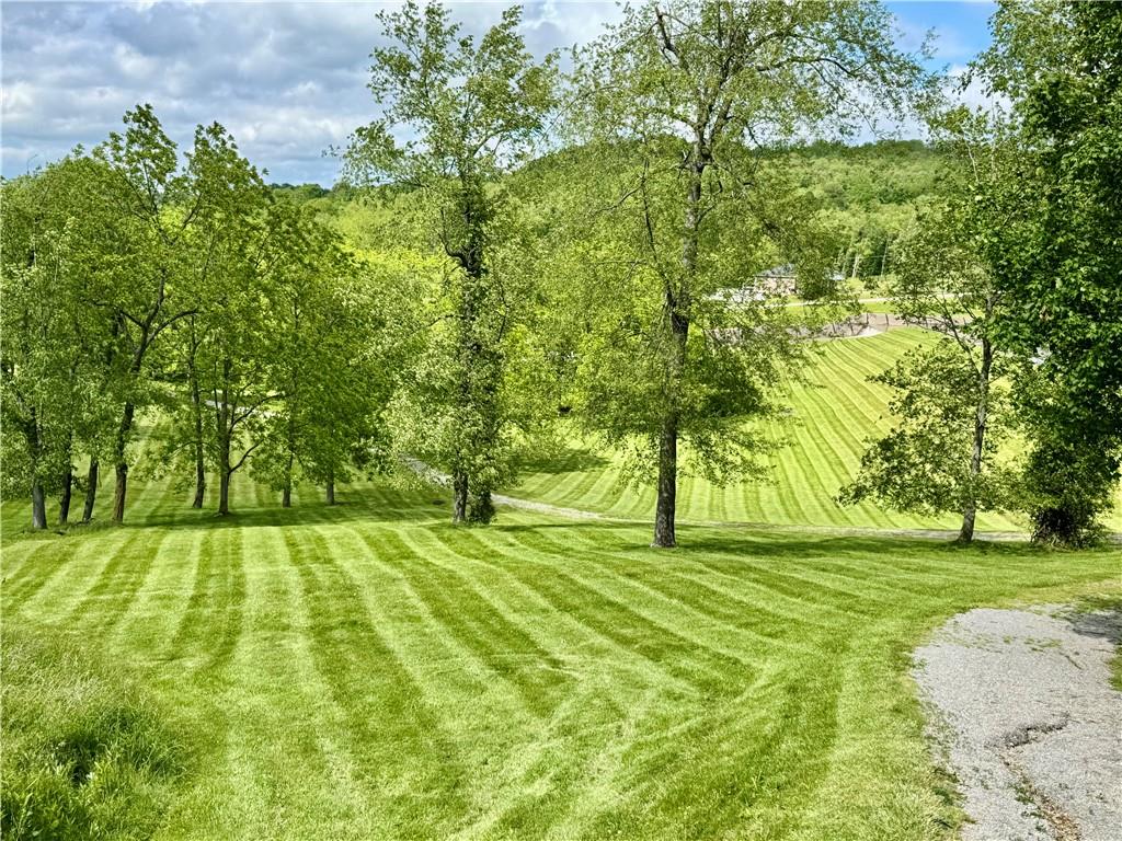 Lot #39 Sunrise Lane McDonald, PA 15057 - Photo 13 of 13 a view of yard with trees