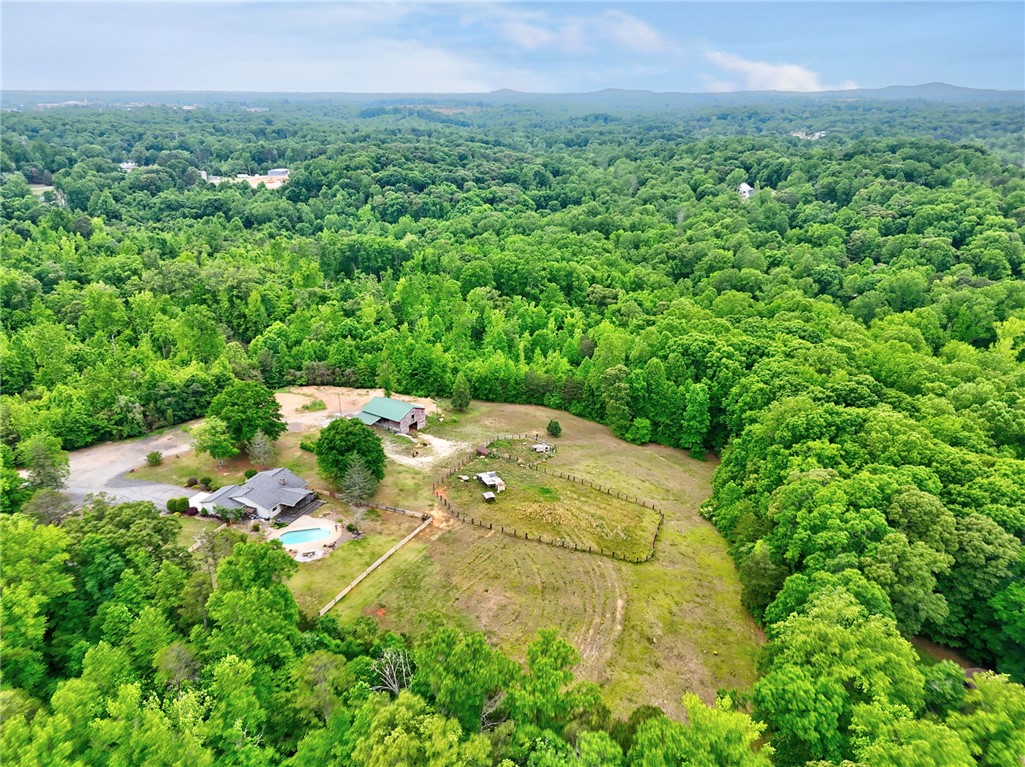 433 Latham Road Easley, SC 29640 - Photo 35 of 50 Perched amidst a verdant landscape, this estate offers a private pool and ample acreage.