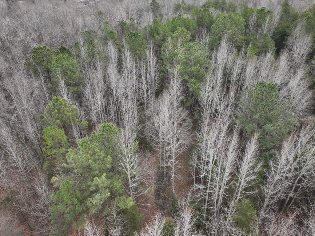 799 Firetower Road Honea Path, SC 29654 - Photo 5 of 17