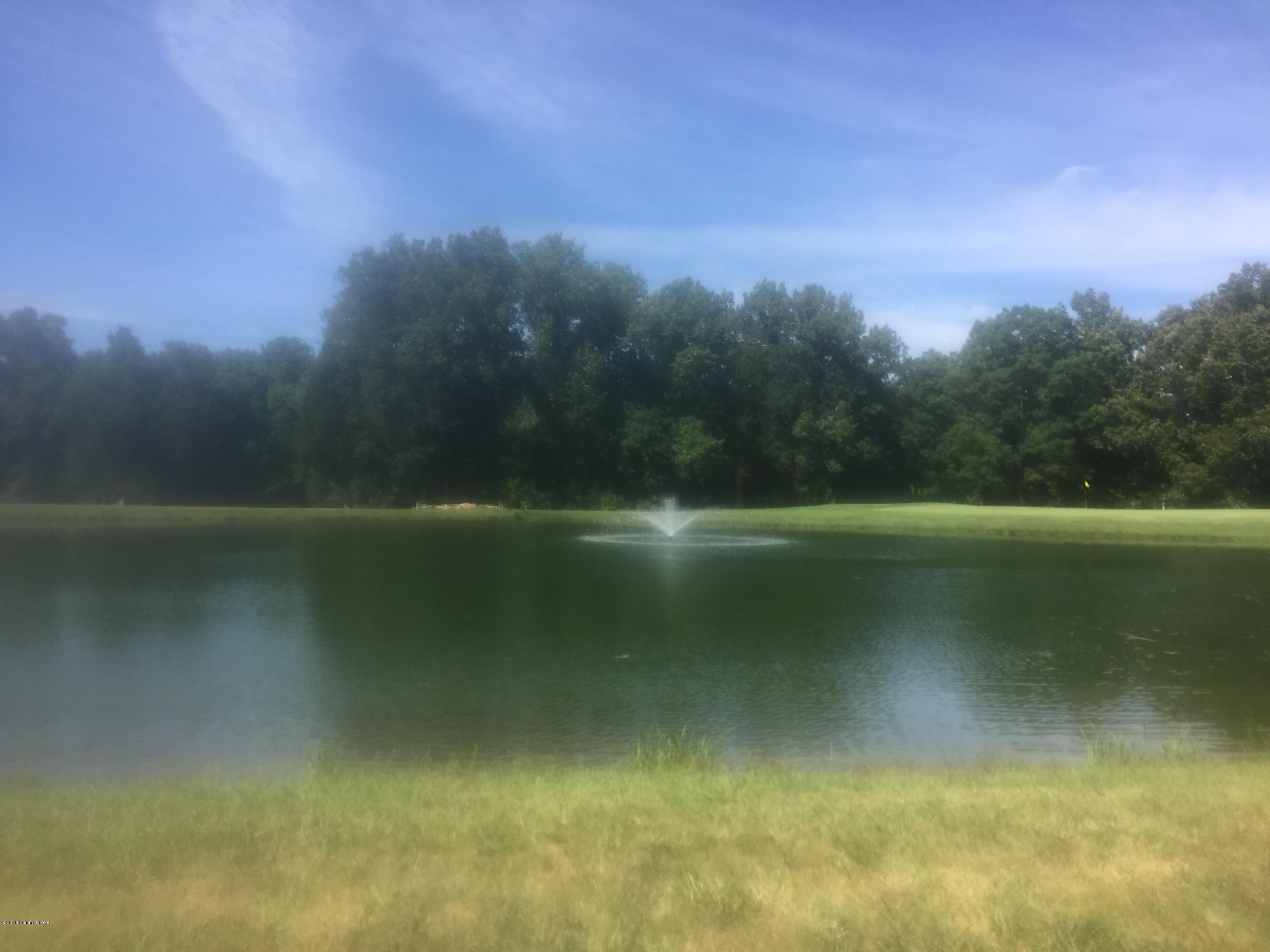 513 Piping Rock Road Brandenburg, KY 40108 - Photo 23 of 23 IMG_1590 - Copy