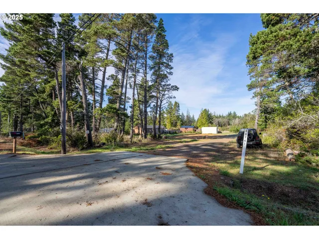 a view of a park with large trees