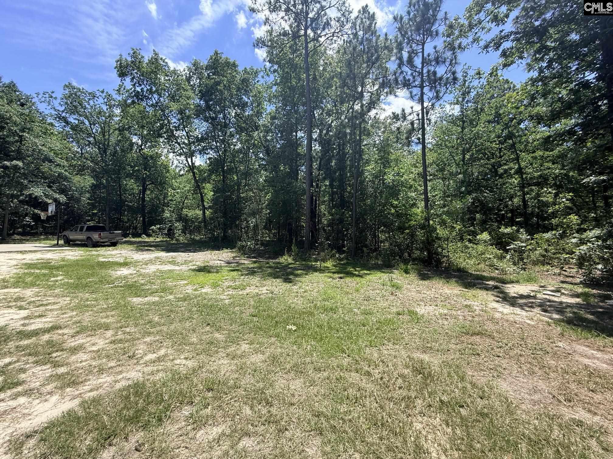 612 Edisto Lake Road Wagener, SC 29164 - Photo 40 of 48