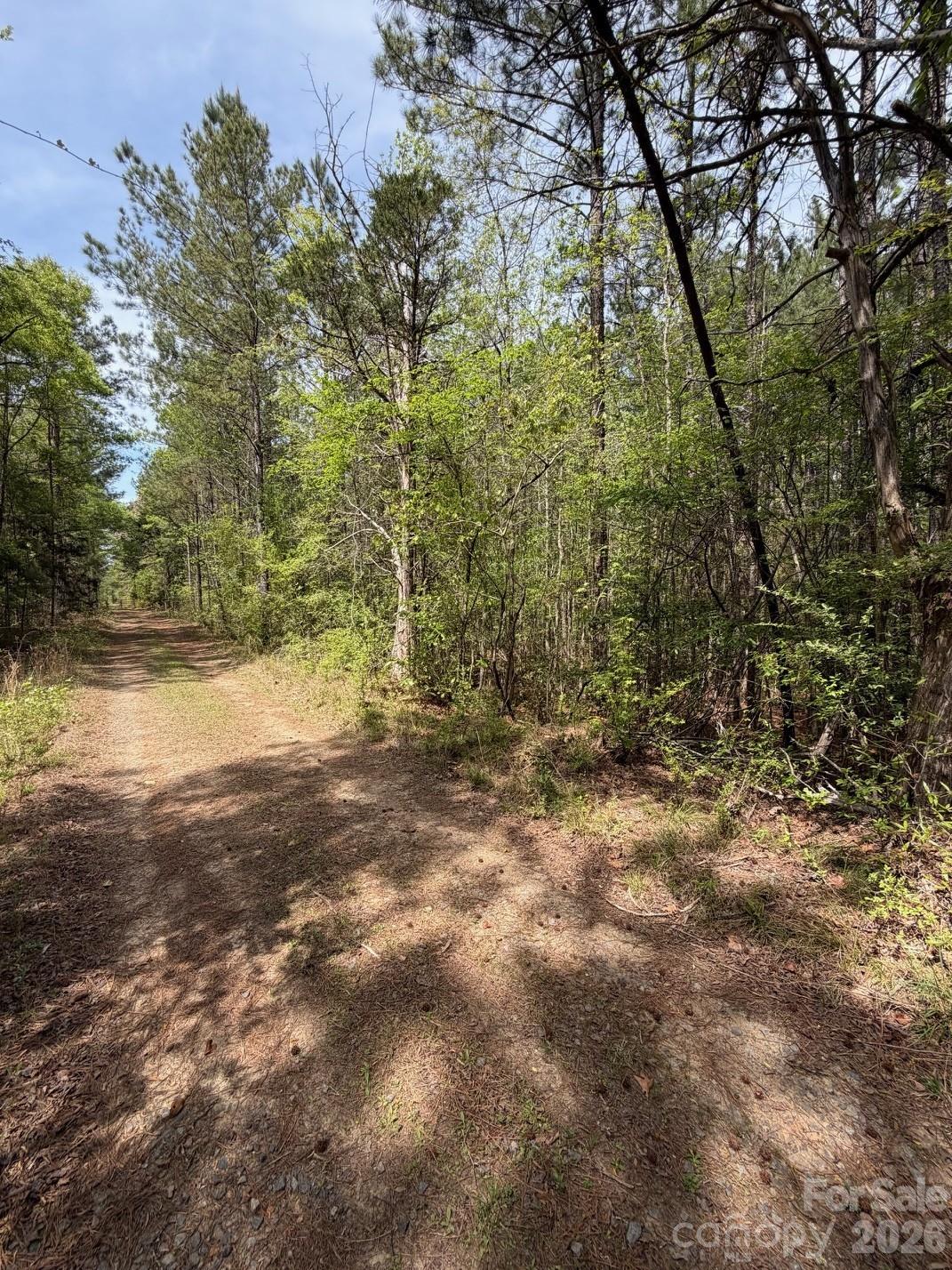 0 Hightower Road Great Falls, SC 29055 - Photo 1 of 5 a view of a yard with plants and trees
