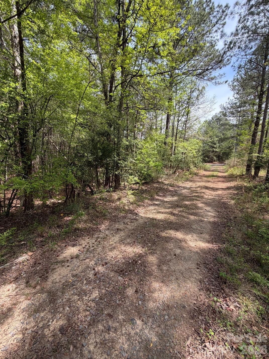 0 Hightower Road Great Falls, SC 29055 - Photo 2 of 5 a view of a forest with trees