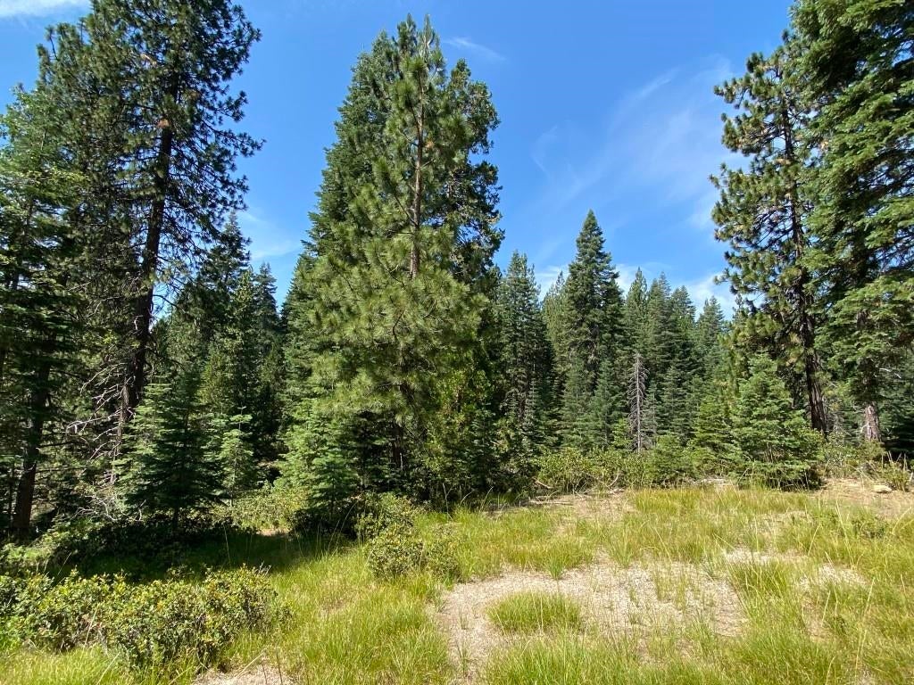 3-e-44 Red Fir Road McCloud, CA 96057 - Photo 21 of 32 Gallery Image 21