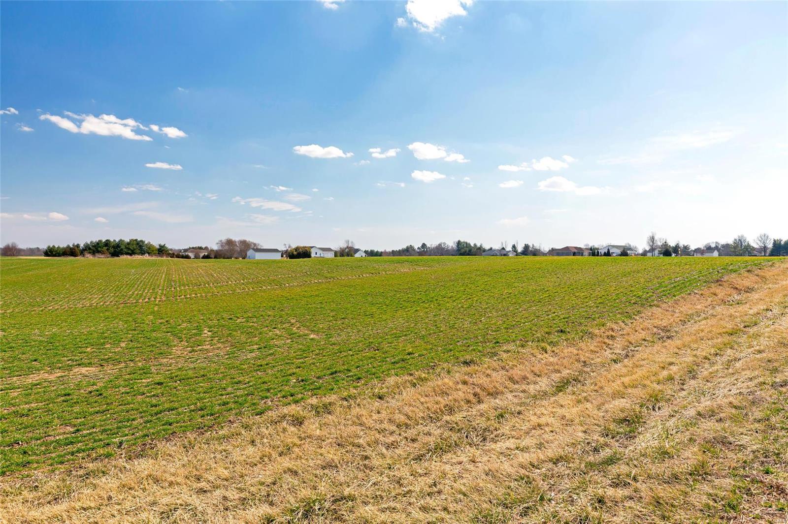 0 Andy Road, Unit 12 Waterloo, IL 62298 - Photo 2 of 3