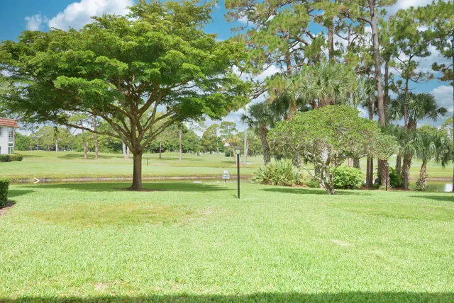 a view of a field with tree s