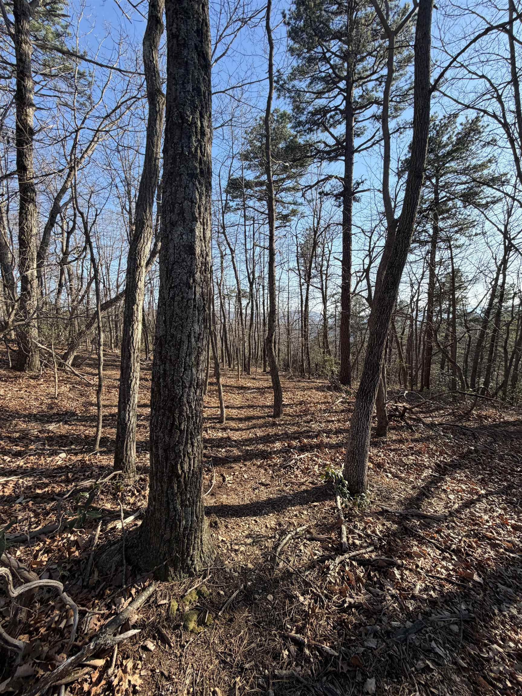 Old Stony Ridge Road Afton, VA 22920 - Photo 21 of 22