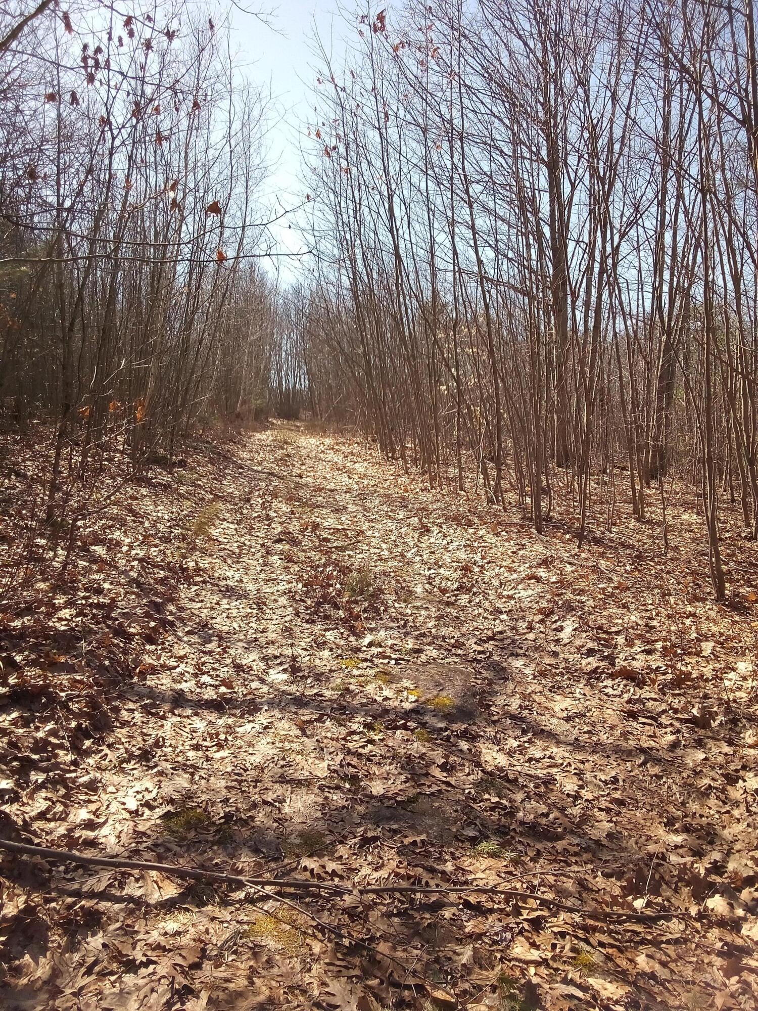 547 Marsh Road Sabattus, ME 04280 - Photo 10 of 16 road 2