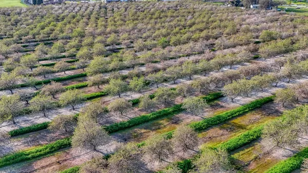 $4,395,000 | 12009 East Shaw Avenue, Clovis, CA 93619