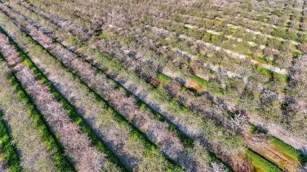 $4,395,000 | 12009 East Shaw Avenue, Clovis, CA 93619