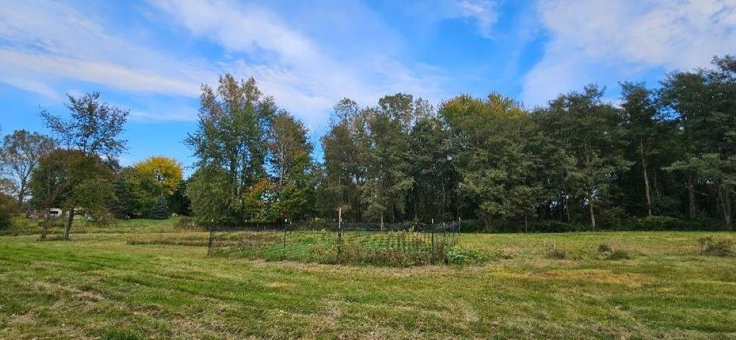 0 Lemon Road Bancroft, MI 48414 - Photo 8 of 16 Gallery Image 8
