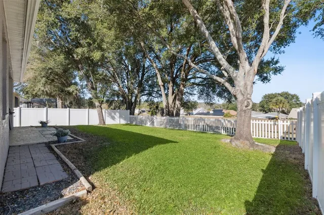 a view of a yard with plants and trees