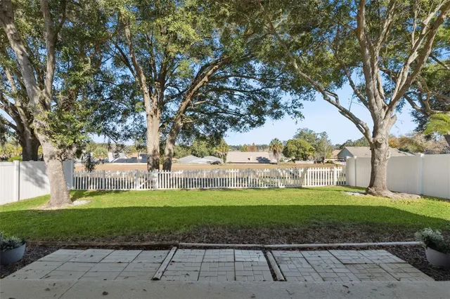 a view of a park with large trees