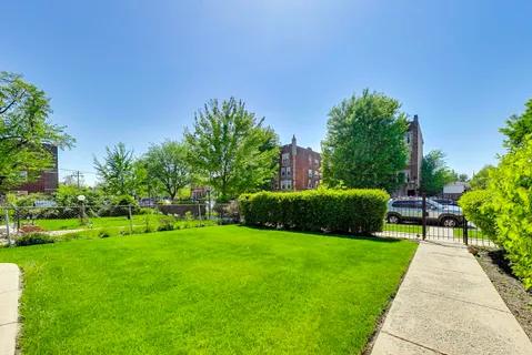 a view of a garden with plants and large trees