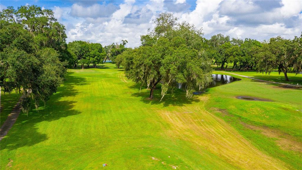 5408 Dean Dairy Road Zephyrhills, FL 33541 - Photo 37 of 62