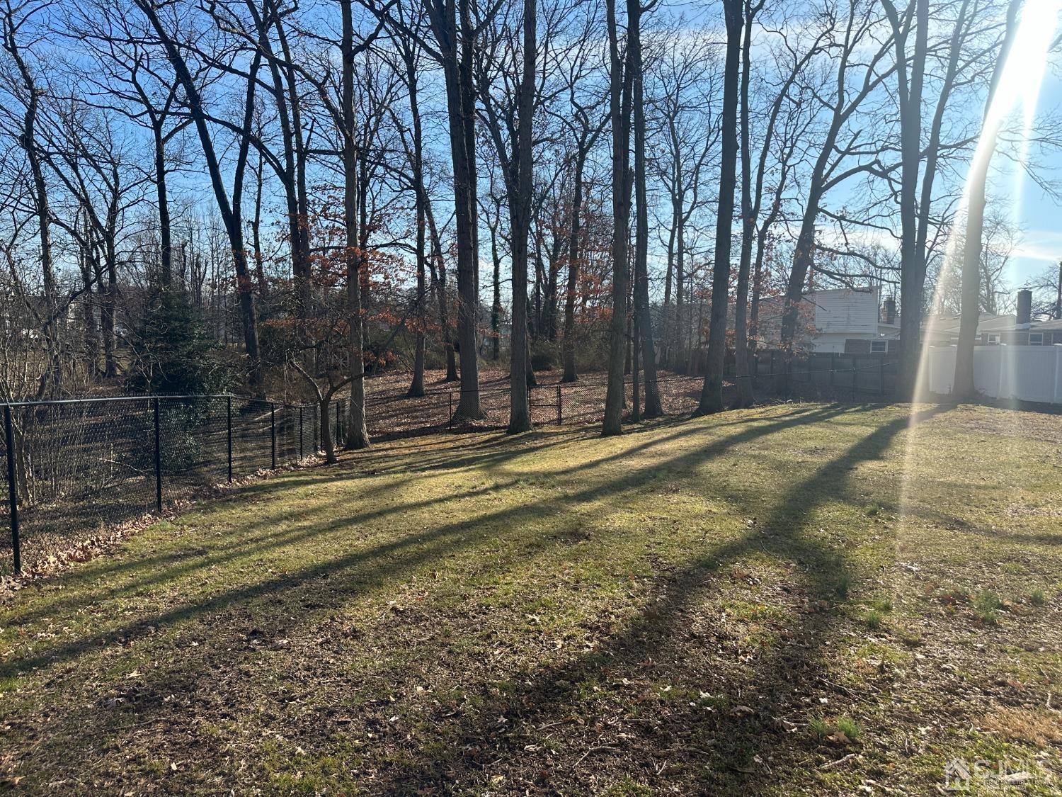 3 Hill Road Edison, NJ 08817 - Photo 27 of 27 a view of a yard with large trees