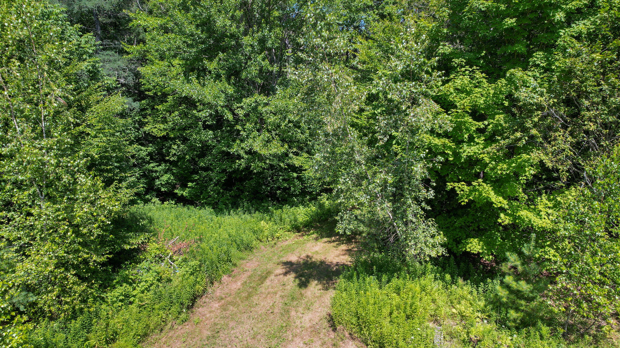 1149 Avenue Road Exeter, ME 04435 - Photo 8 of 15 dji_fly_20250726_142000_781_175355409981