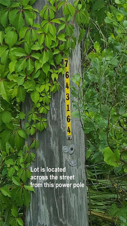 2575 North Bear Run Frostproof, FL 33843 - Photo 7 of 27 a view of a wooden fence