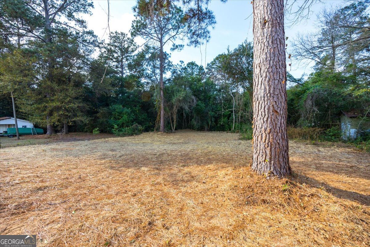 317 Lee Street Perry, GA 31069 - Photo 23 of 26