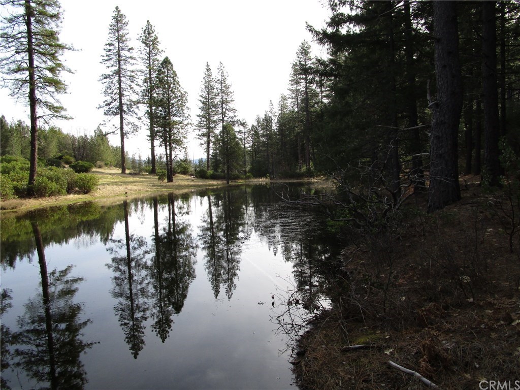 11112 High Glade Road Upper Lake, CA 95485 - Photo 1 of 1 Gallery Image 1