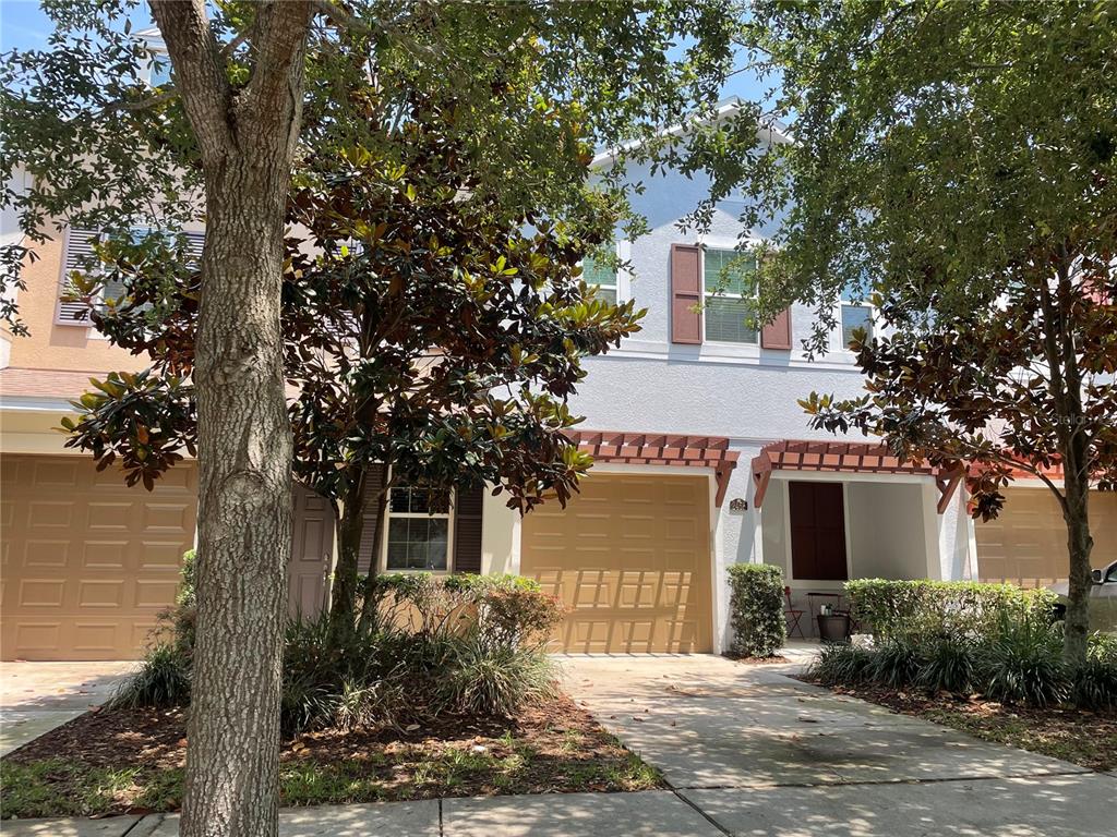 2458 Viterbo Way Ocoee, FL 34761 - Photo 1 of 1 front view of a house with a tree